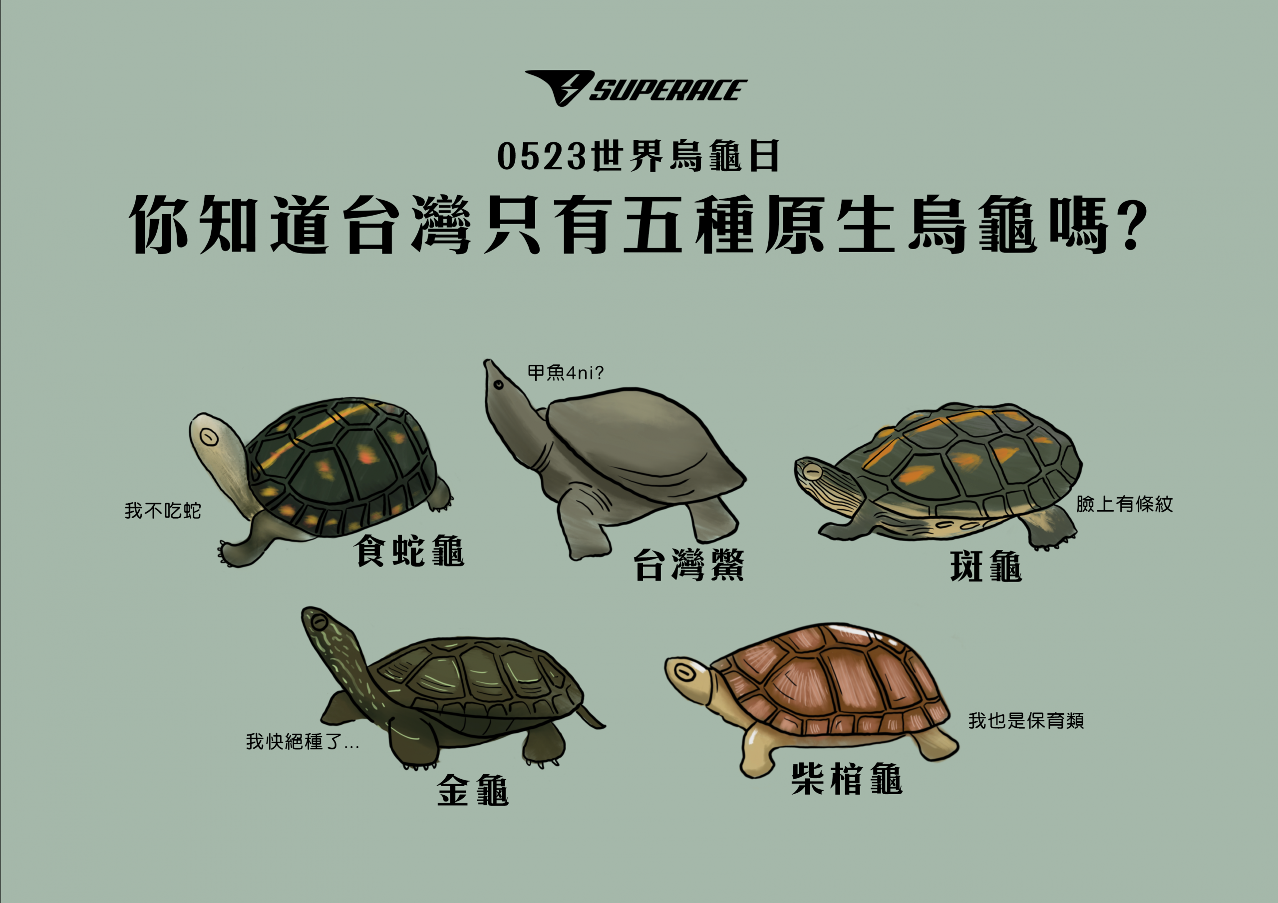 86+ 图片 烏龜 新的 12 SUPERACE
